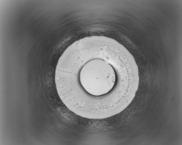 X0000067930824200604201454