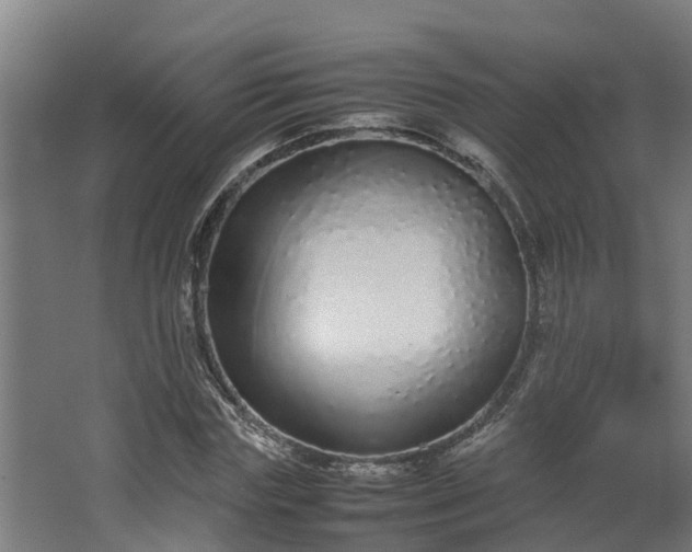 X0000067930827200604201454