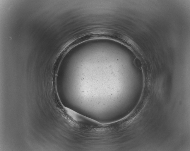 X0000067930829200604201454