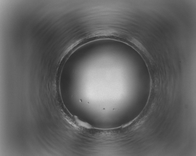 X0000067930834200604201454