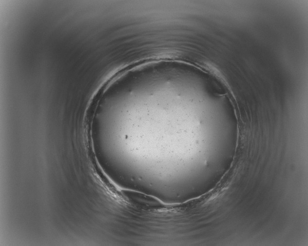 X0000067930835200604201454