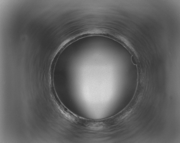 X0000067930837200604201454