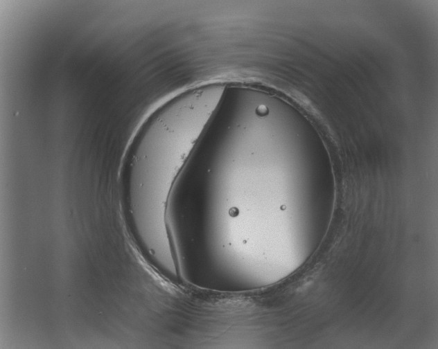 X0000067930838200604201454