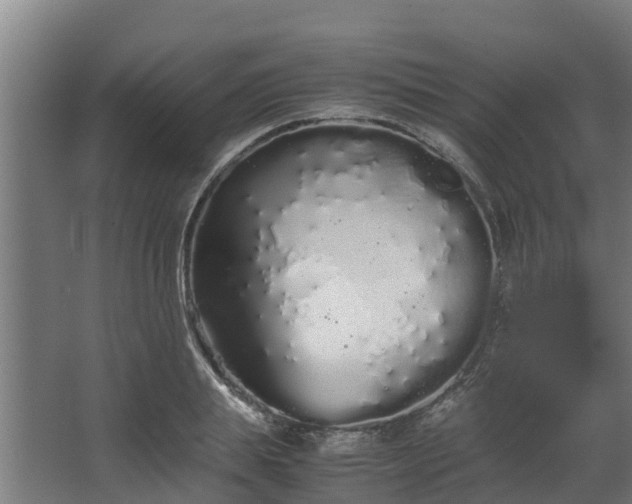 X0000067930839200604201454