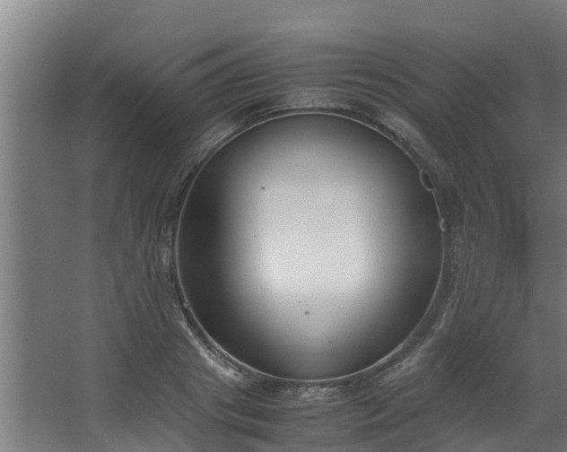 X0000067930841200604201454