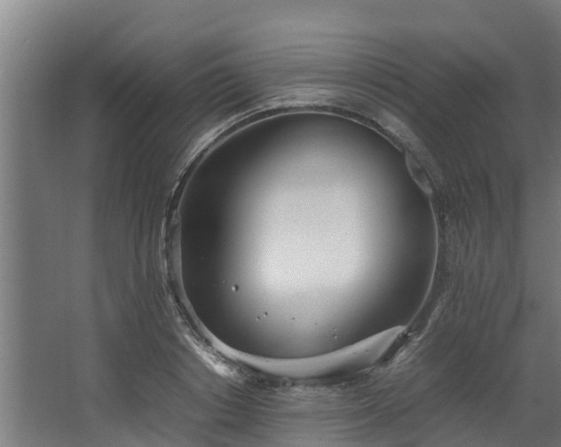 X0000067930842200604201454