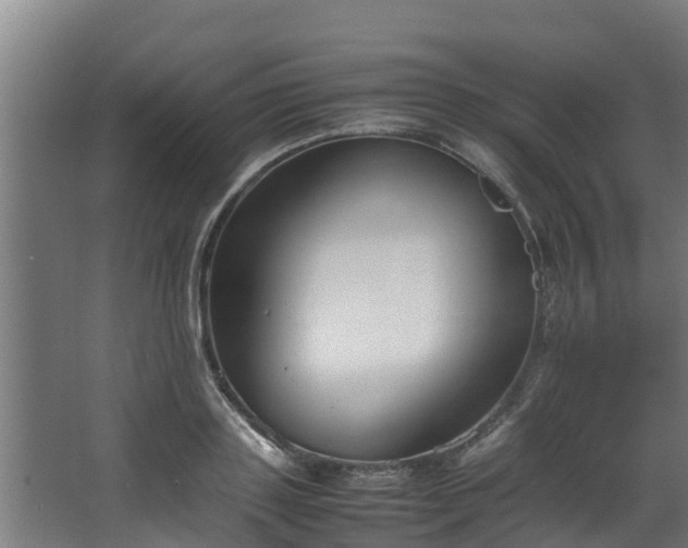 X0000067930843200604201454