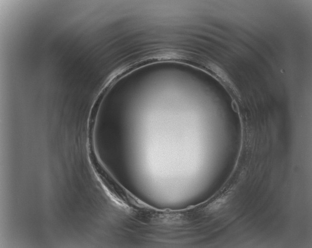 X0000067930845200604201454