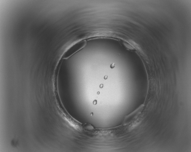 X0000067930846200604201454