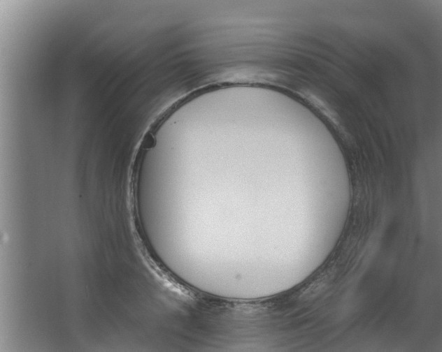 X0000067930848200604201454