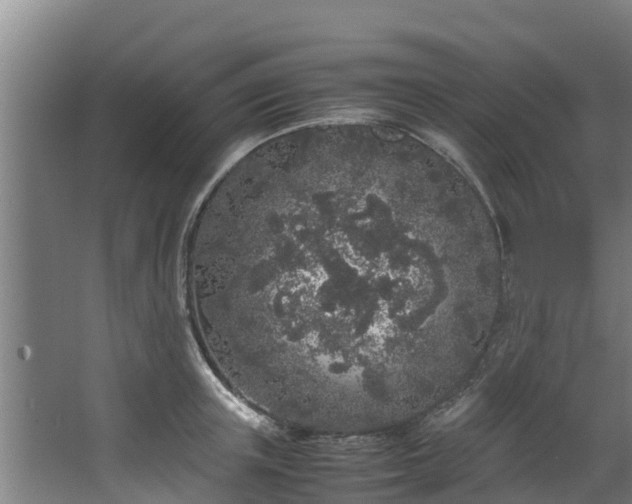 X0000067930851200604201454