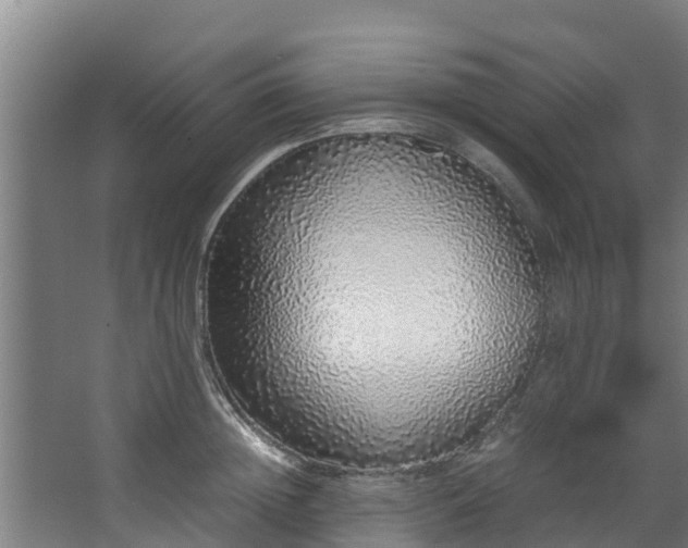 X0000067930852200604201454