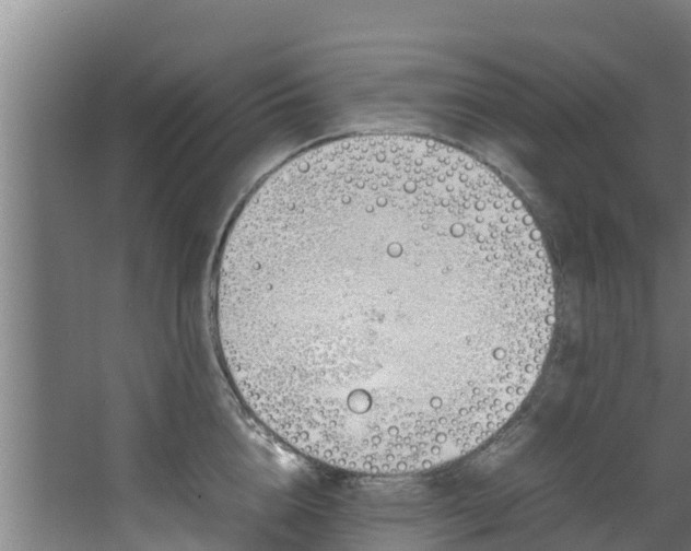 X0000067930856200604201454