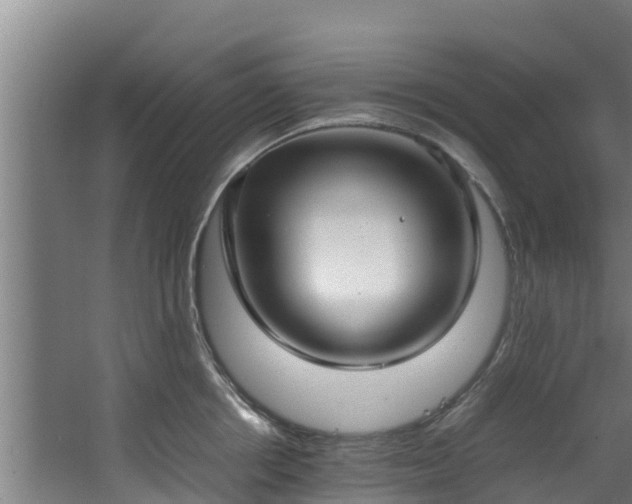 X0000067930858200604201454