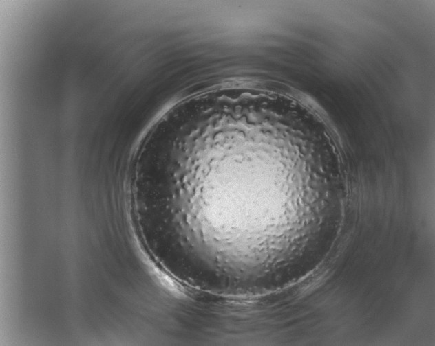 X0000067930859200604201454