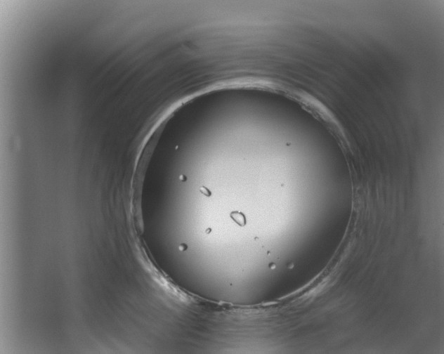 X0000067930860200604201454