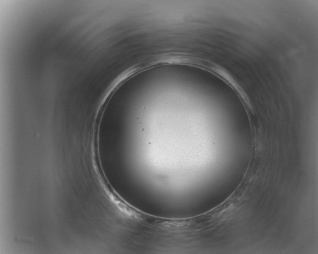 X0000067930861200604201454