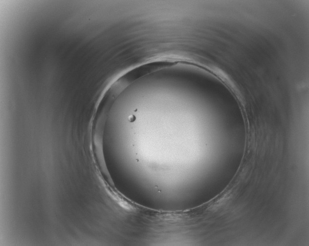 X0000067930862200604201454