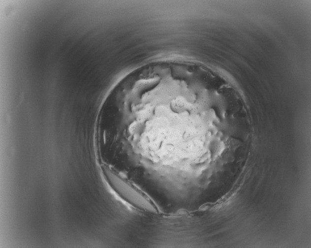 X0000067930863200604201454