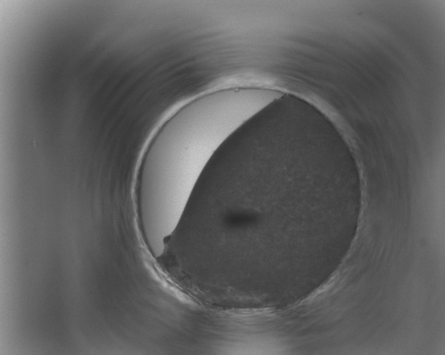 X0000067930864200604201454