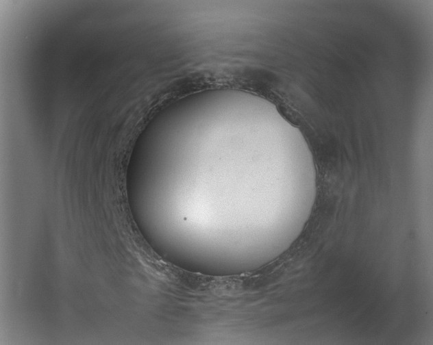 X0000067930865200604201454