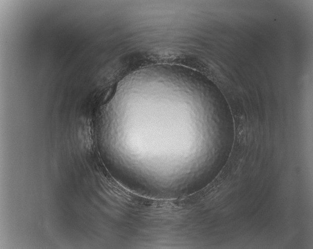 X0000067930866200604201454