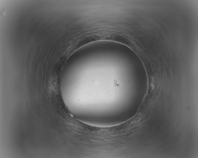 X0000067930867200604201454