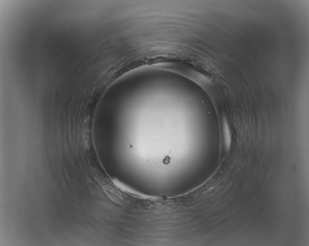 X0000067930868200604201454