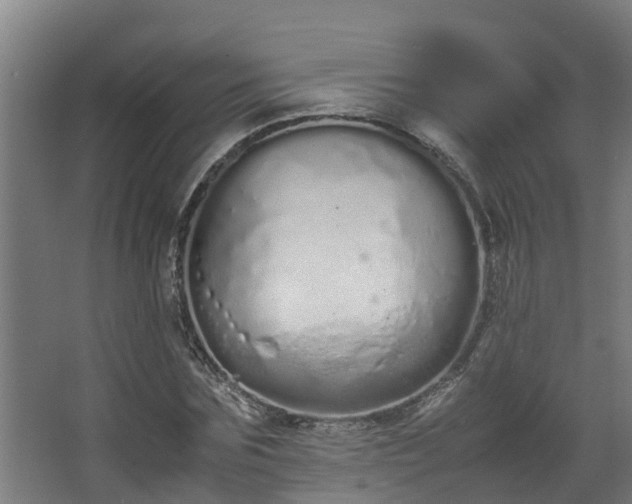 X0000067930875200604201453