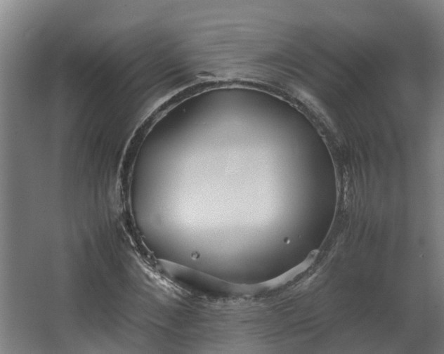 X0000067930876200604201453