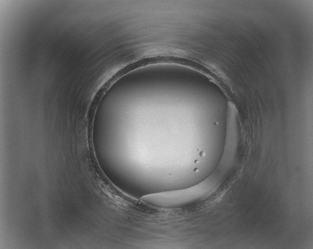 X0000067930877200604201453