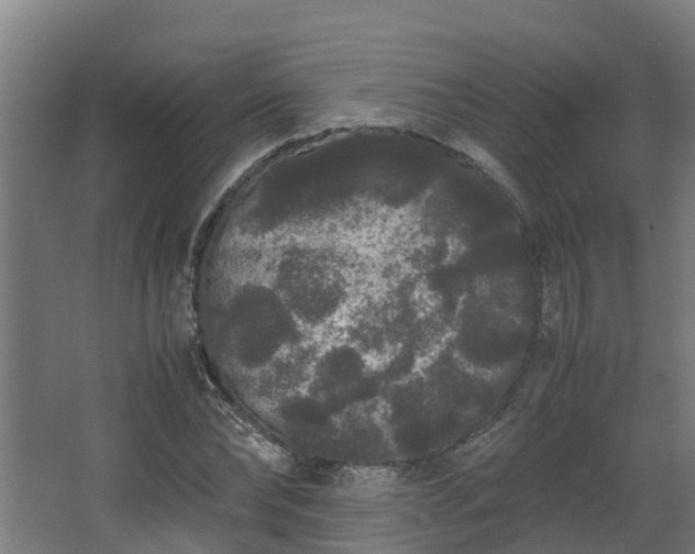 X0000067930878200604201453