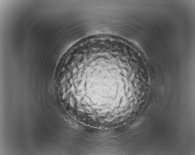 X0000067930879200604201453