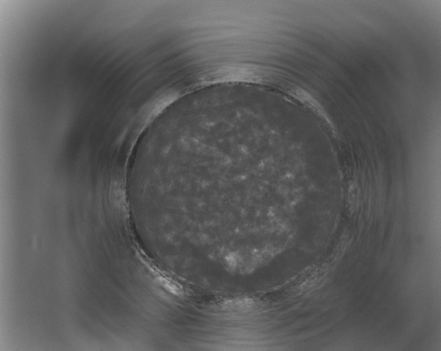 X0000067930882200604201453