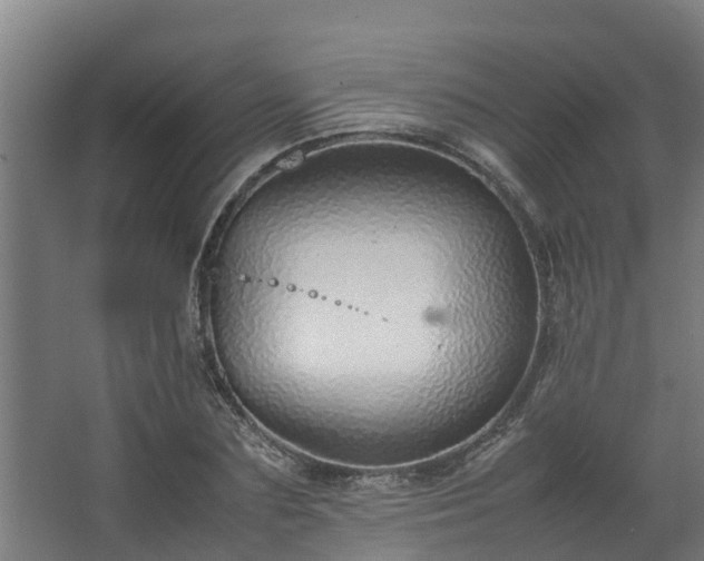 X0000067930883200604201453