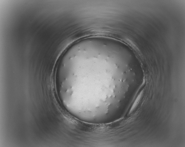 X0000067930891200604201453