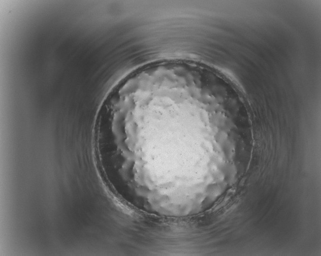 X0000067930895200604201453