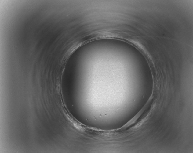 X0000067930897200604201453