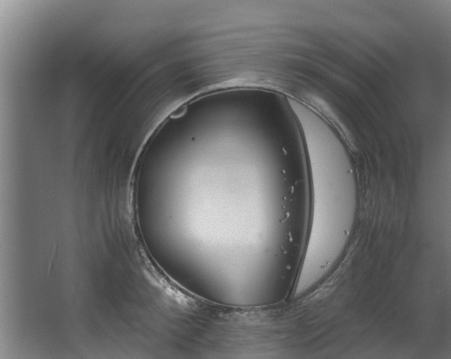 X0000067930900200604201453