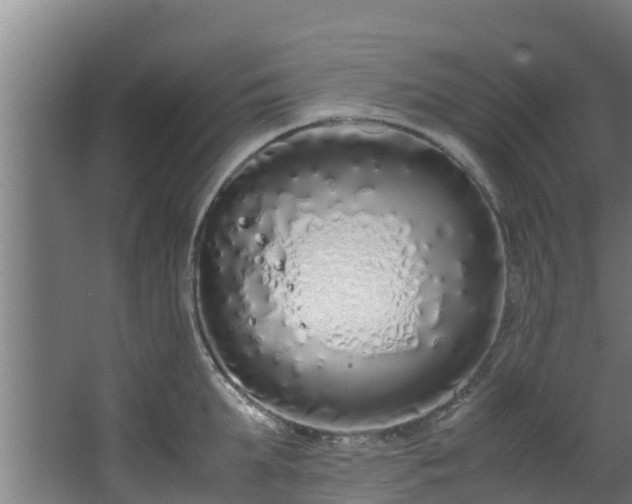 X0000067930903200604201453