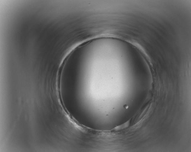 X0000067930910200604201453