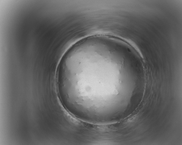 X0000067930911200604201453