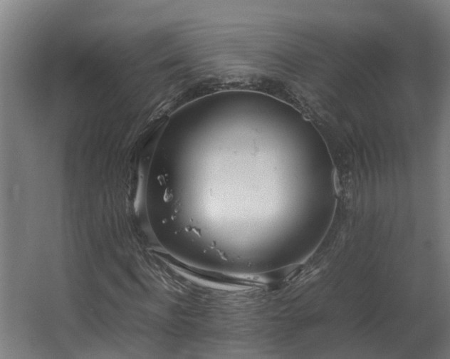X0000067930916200604201452