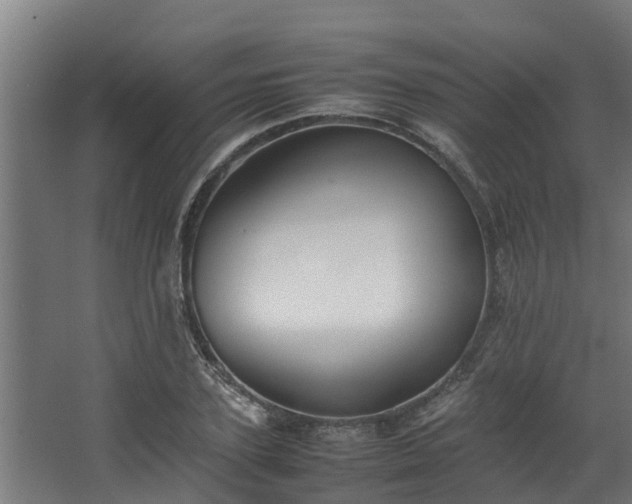X0000067930931200604201452