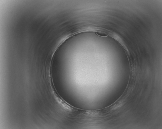 X0000067930954200604201453