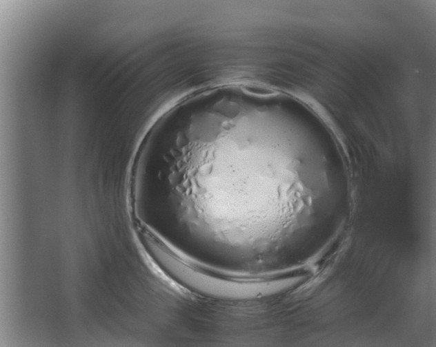 X0000067930957200604201453