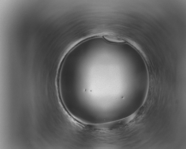 X0000067930959200604201453