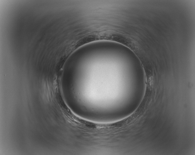 X0000067930963200604201452
