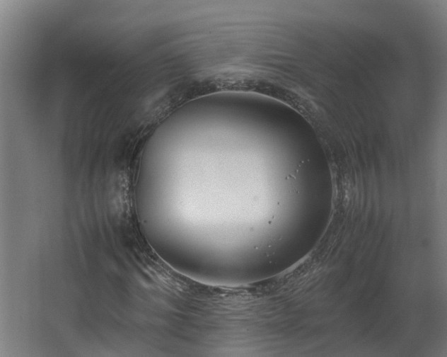 X0000067930964200604201452