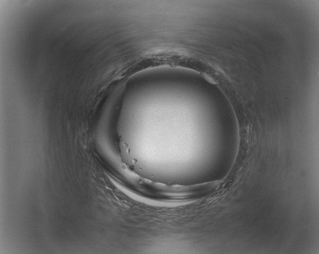 X0000067930965200604201452